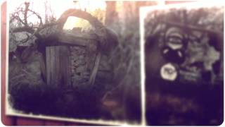 Vogon Poetry - Driven (Music Video)