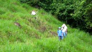 preview picture of video 'JereChica-en-Boquete Una Caminata Los Cerros de Galerita'