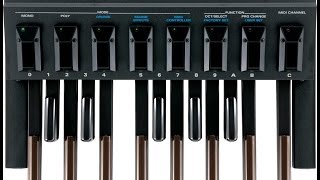 Roland PK-5A Dynamic MIDI Pedal - What To Know & Where To Buy