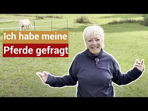 Meine Pferde verrieten mir, was sie wirklich wollen 🐴✨ (Tierkommunikation funktioniert!)