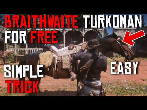 Turkoman Braithwaite Horse for Beginners