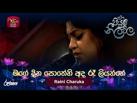 Mage Dina Pothehi | මගේ දින පොතේහි අද රෑ ලියන්නේ | Raini Charuka | Piyum Neela Vila | Roo Tunes