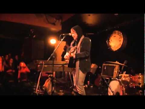 Wild And Free - Damien Rice