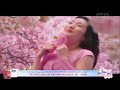Iklan So Klin Experience Series Sakura Keharuman Bunga Sakura 15s