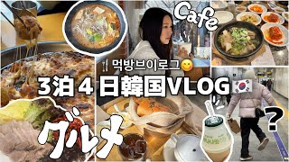 母と妹と韓国食べまくり3泊4日グルメツアー😋🇰🇷元韓国在住がいくお店だから間違いない(はず)