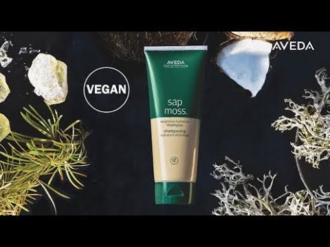 Sap Moss Hydrating Shampoo & Conditioner | Aveda