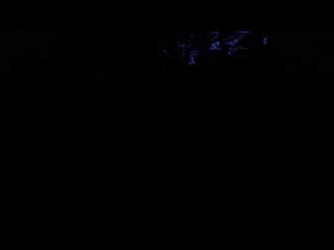 Fireflies