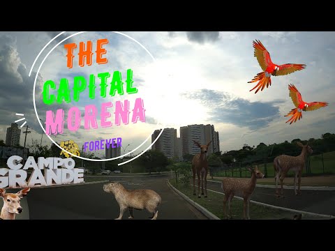 4k- CAMPO GRANDE-MS, CONHEÇA um pouco da CIDADE DE CAMPO GRANDE, Capital morena