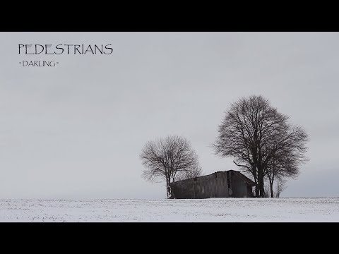 Pedestrians - Darling (Official Video)