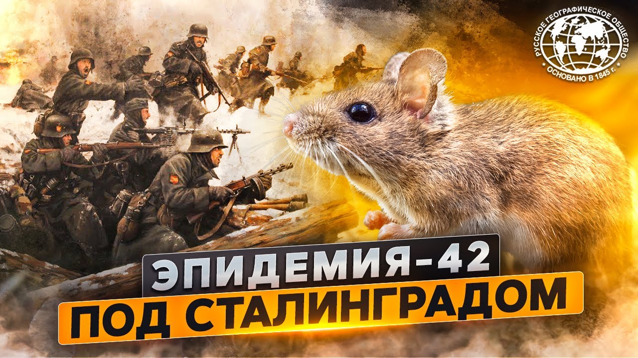 Эпидемия-42 под Сталинградом