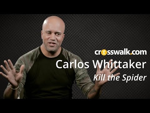 Kill the Spider: An Interview with Carlos Whittaker