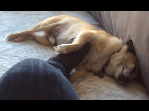 Lucky Like Feet