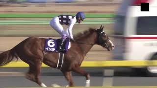 2019フェブラリーステークスを実況してみた