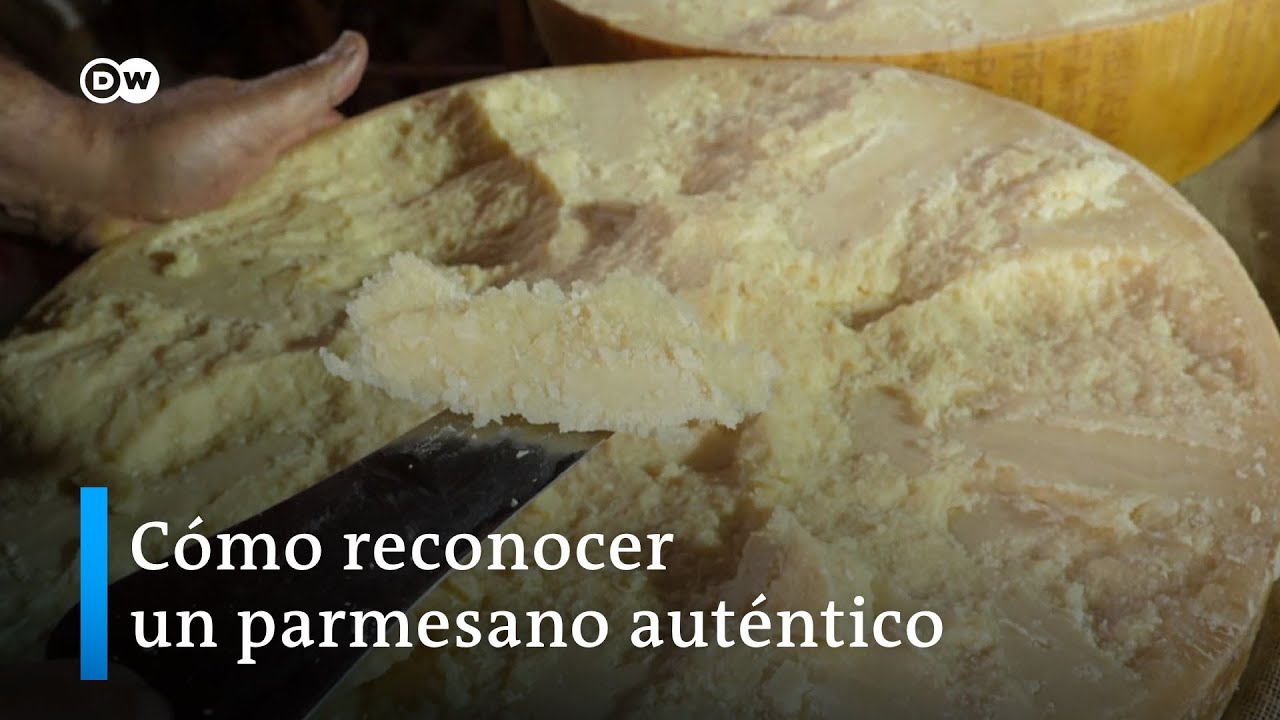 ¿Qué hace de un queso un auténtico parmesano?