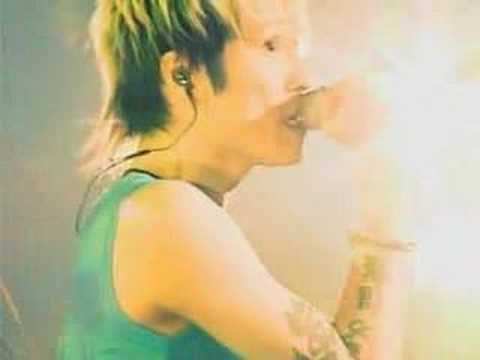 Ookina Kino Shitade - Siam Shade
