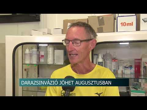 Darázscsípés - akár halálos is lehet