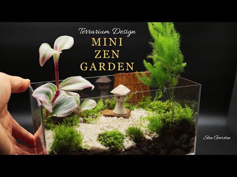 [Terrarium Project] Build a mini zen garden