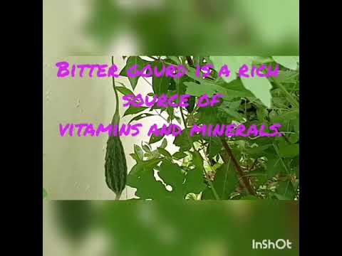 About Momordica charantia