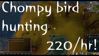 Efficient chompy bird hunting guide