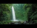 David Osborne - Laughter in the Rain [Full Album 4K Visualizer]