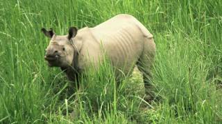 Unscripted REAL English Conversation - 1 - A Walk through Nepal