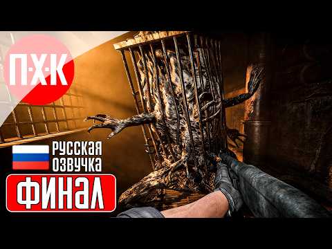 Просмотреть видео