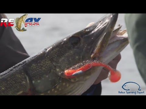 Relax King Shad Standard Blister 10cm S170R