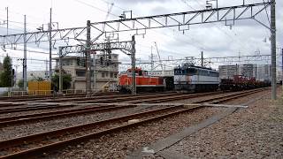 【JR貨物】1093レ EF210 6号機 2018.09.11 60fps