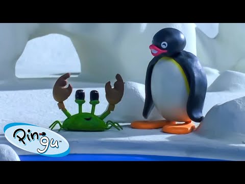 Pingu and the School Pet 🐧 | Pingu – Official Channel | Cartoons For Kids - Kids (0-4), Kingdom Kids Zone - Pingu - Official Channel