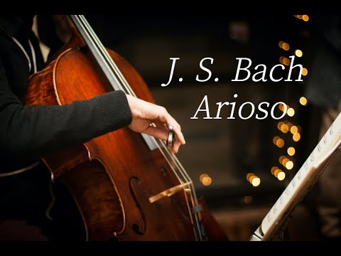 1HRㅣ J. S. Bach AriosoㅣCello MusicㅣDeep SleepㅣRelaxingㅣPeacfulㅣClassical CelloㅣHealing Music