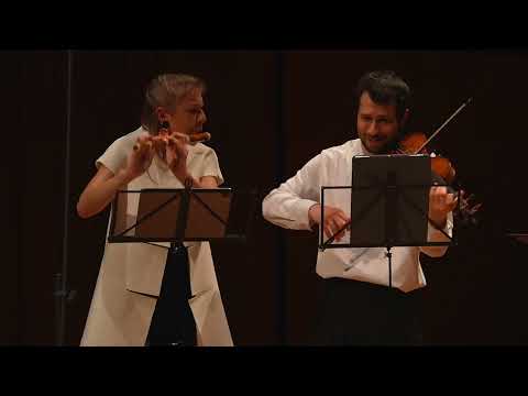 Bach: Brandenburg Concerto n. 5 BWV 1050 - Verità Baroque