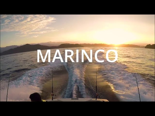 MARINCO Dual Speed Wiper Motor Controller