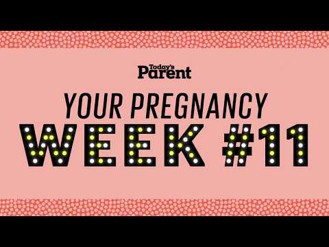Your pregnancy: 11 weeks