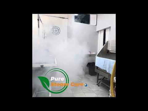 Pure Steam Care video.