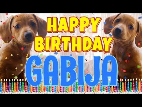 Happy Birthday Gabija! ( Funny Talking Dogs ) What Is Free On My Birthday