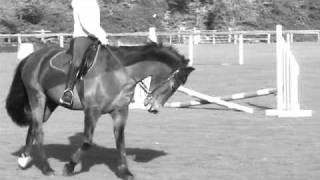 mo - ain&#39;t true love x