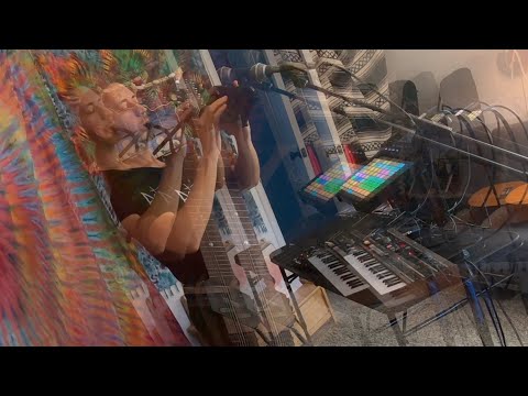 Live Looping/Dub Reggae/Improv Jam ][ Chapman Stick, Beatbox, Electronics
