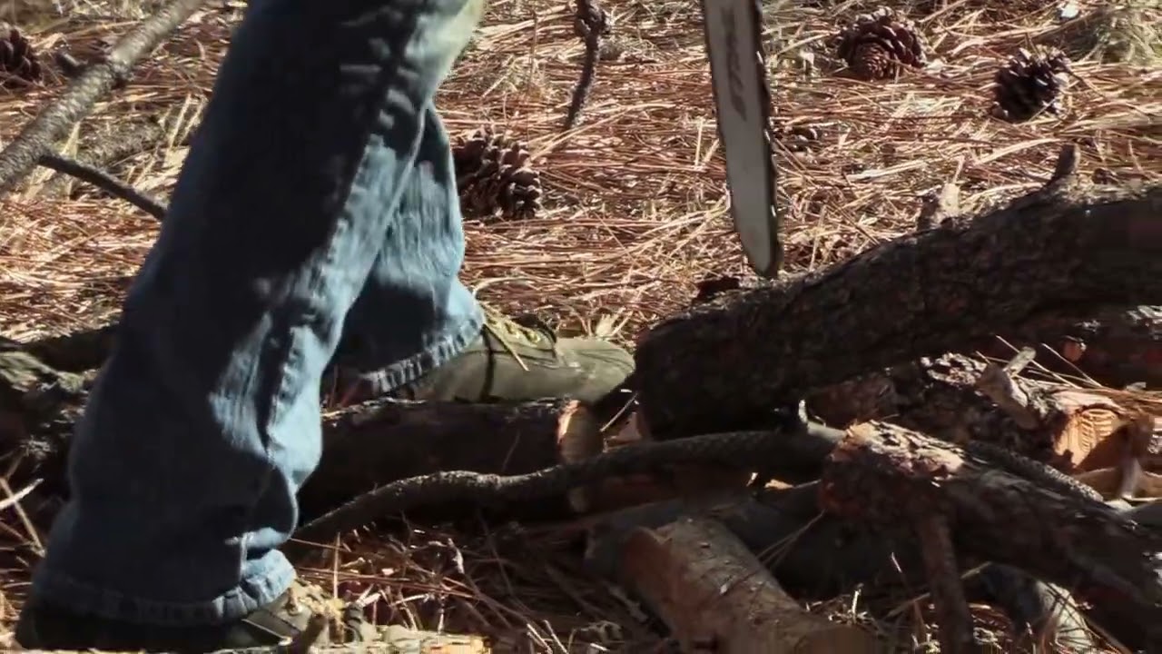 Cutting A Dead Tree Tree Cutting 1080_00000060 God Calling Ministry