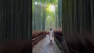 竹林の小路を歩く女性！