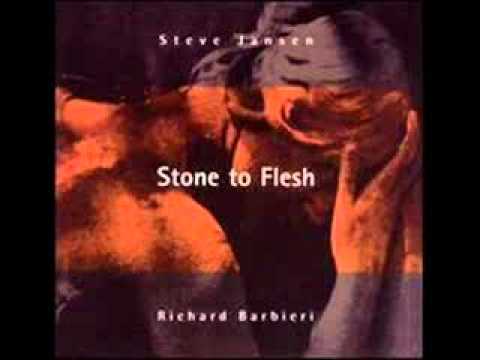 Steve Jansen & Richard Barbieri - Swim There (Stone To Flesh)