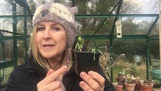 Terms relating to water in soils. Saturation point, permanent wilting point and field capacity.