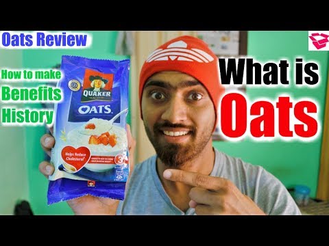 Oats - Wholesale Price & Mandi Rate for Dry Oats in India