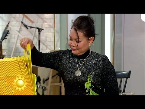 Triss: Suphanwisa från Höör hoppas skrapa fram en storvinst! - Nyhetsmorgon (TV4)