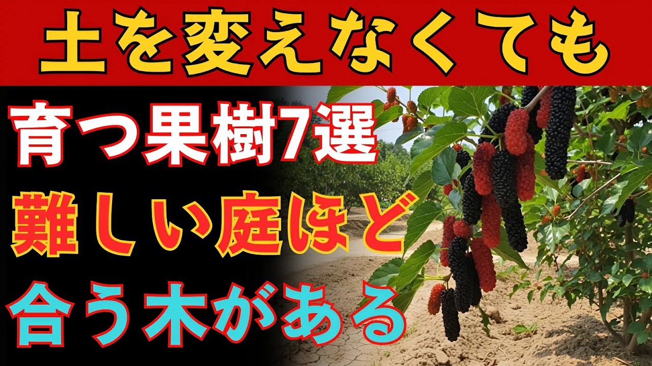 痩せた土でも実る果樹7選。多くの人が知らない、庭に合う木がありました。