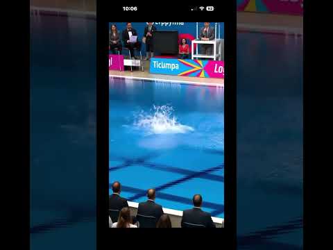 AI Generated Cats Pool Diving Video