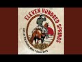 Thunderbird Will Do Just Fine (Radio Version)