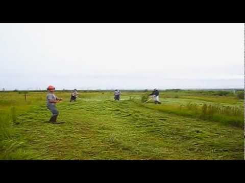 maicomlima123’s Video 31049692467 vtkCB9y_vSc