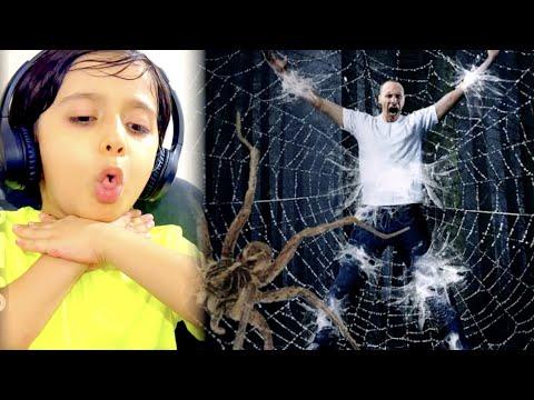 most spiders on the body - Guinness world records - rayan galaxy