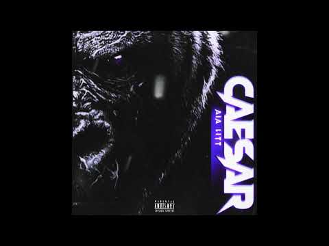 AIA LITT - PROJECT HOES!