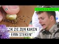 JURRE WORDT GEBETEN DOOR EEN SPIN!  | Steken en Prikken #9 | NPO Zapp
